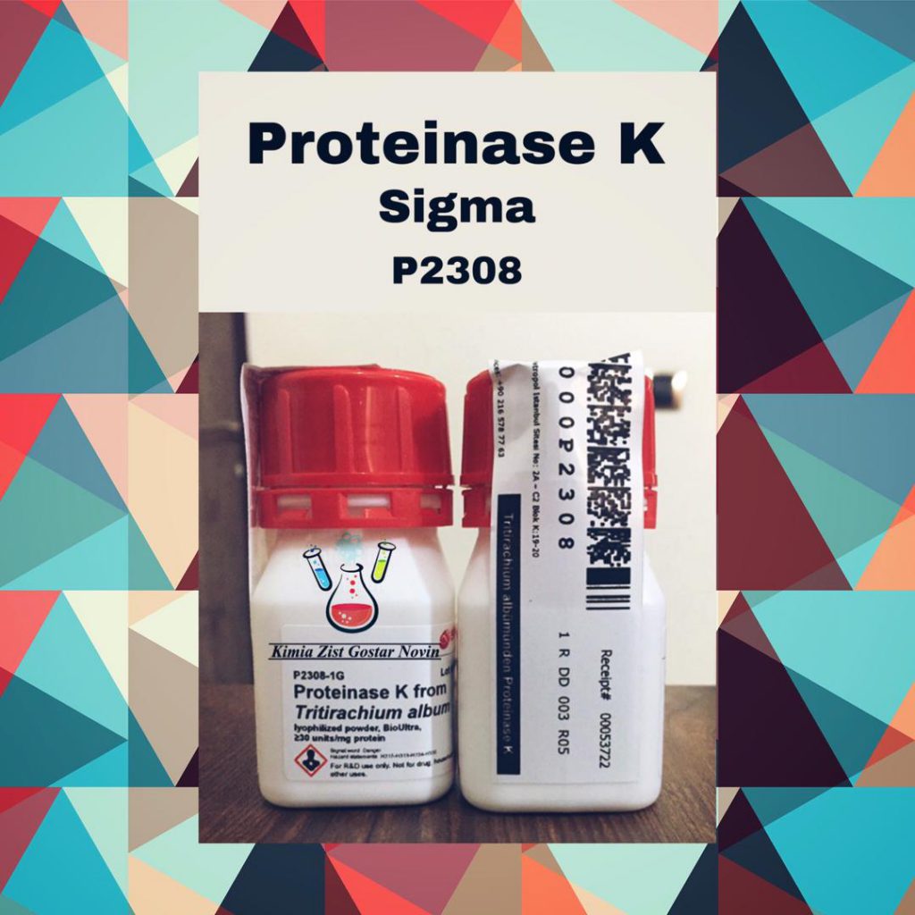 پروتئیناز کا (Proteinase K)