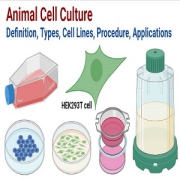 Animal-Cell-Culture