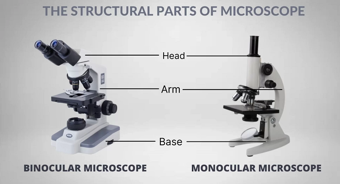 The structural parts of Microscope diagram