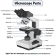 بخش های مختلف میکروسکوپ