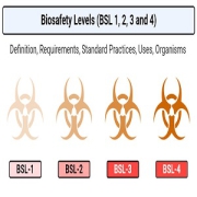 Biosafety-Levels