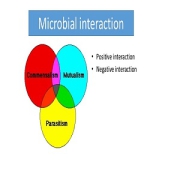 microbial interaction