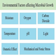 عوامل محیطی موثر بر رشد میکروبی