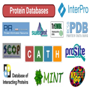 پایگاه داده های پروتئین